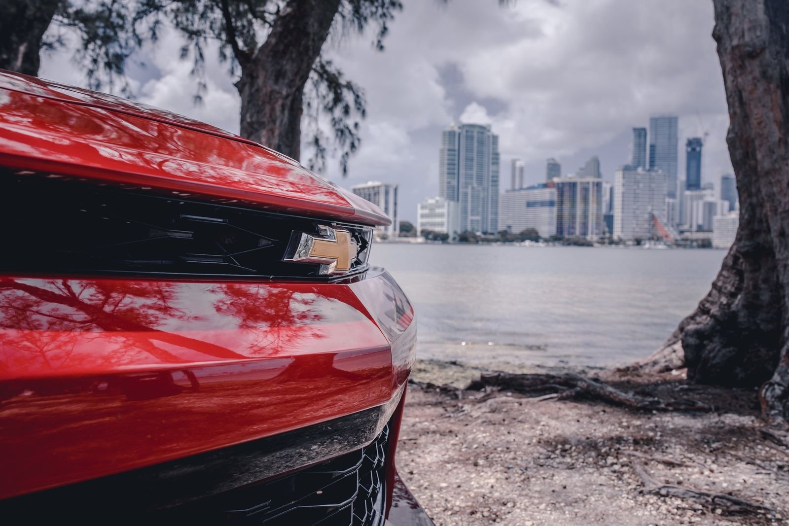 coche de alquiler frente a un paisaje urbano