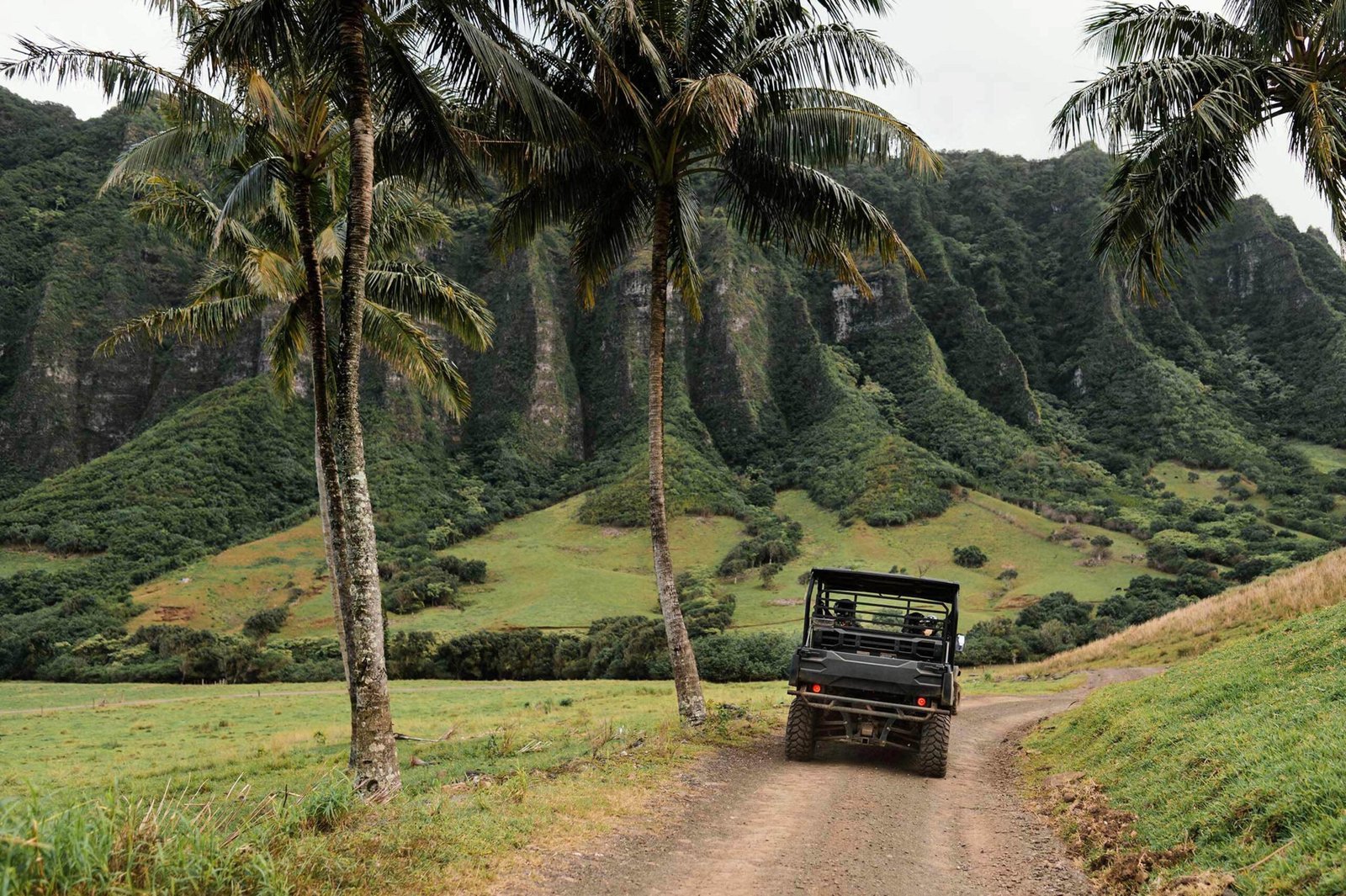 coche en un paisaje tropical paradisiaco scaled