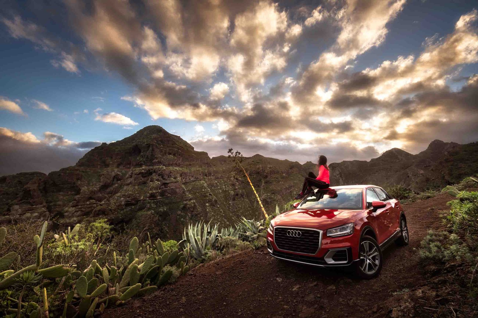 coches de alquiler en paisaje de tenerife