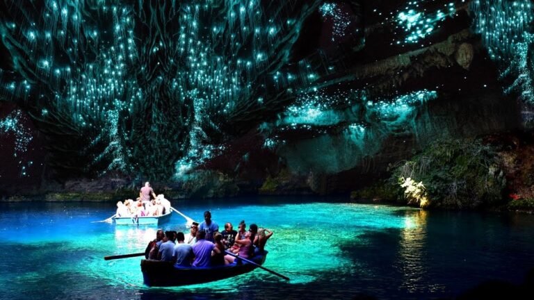 Dónde se encuentran las cuevas de luciérnagas Waitomo en Nueva Zelanda