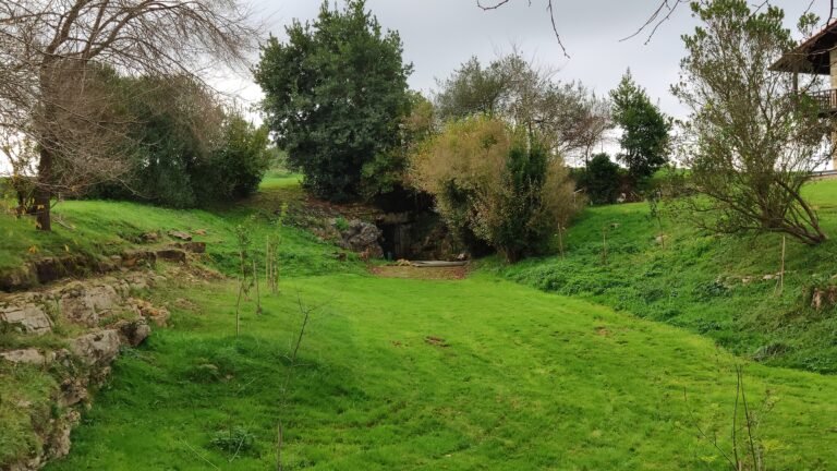 Dónde puedo comprar entradas para las Cuevas de Altamira