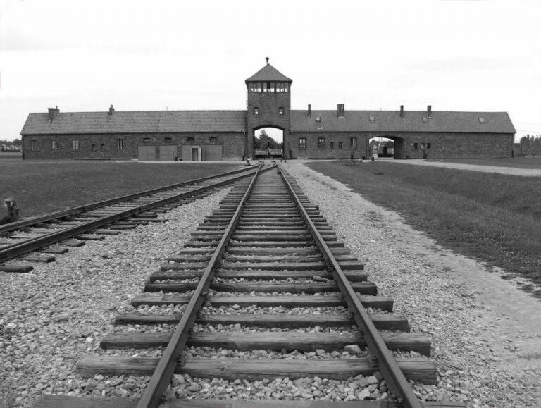 Dónde hacer una excursión a Auschwitz y las minas de sal en español