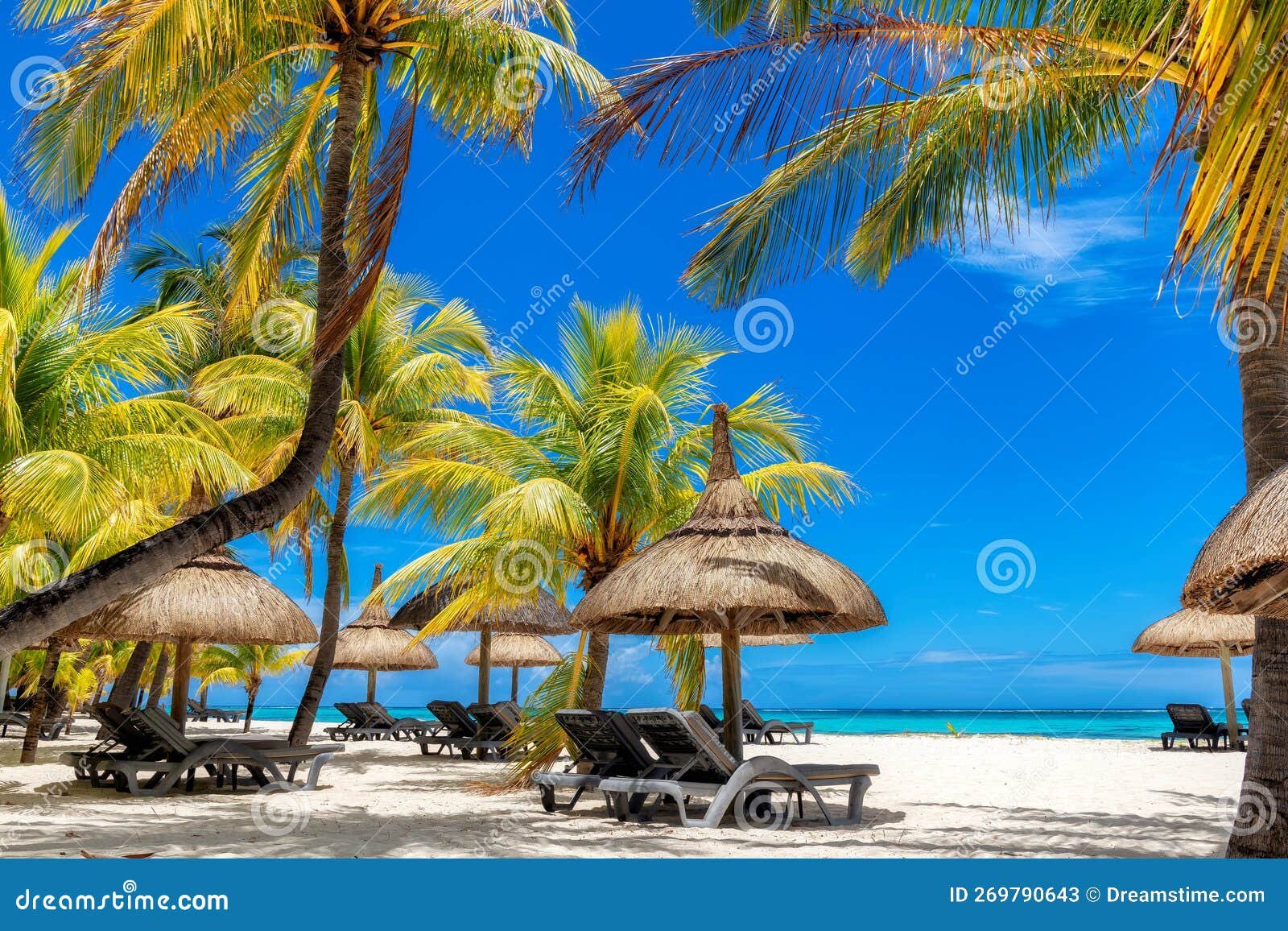 hermosa playa con palmeras y sombrillas