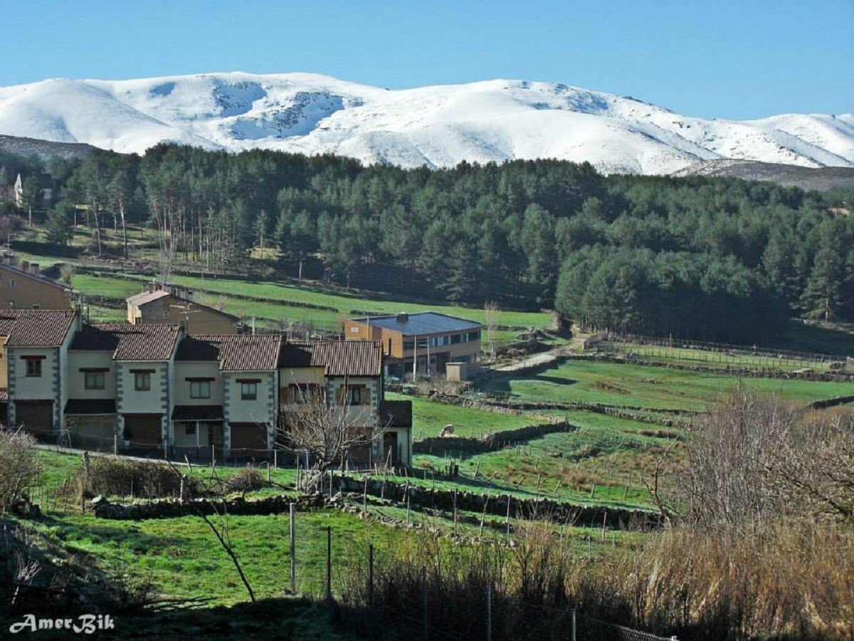 hoyos de espino en un paisaje natural