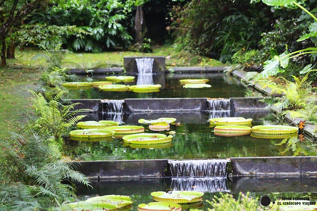jardin botanico terra nostra garden en azores