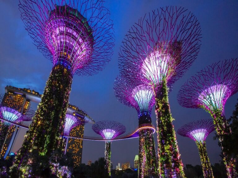 Qué son los Gardens by the Bay en Singapur: un paraíso verde