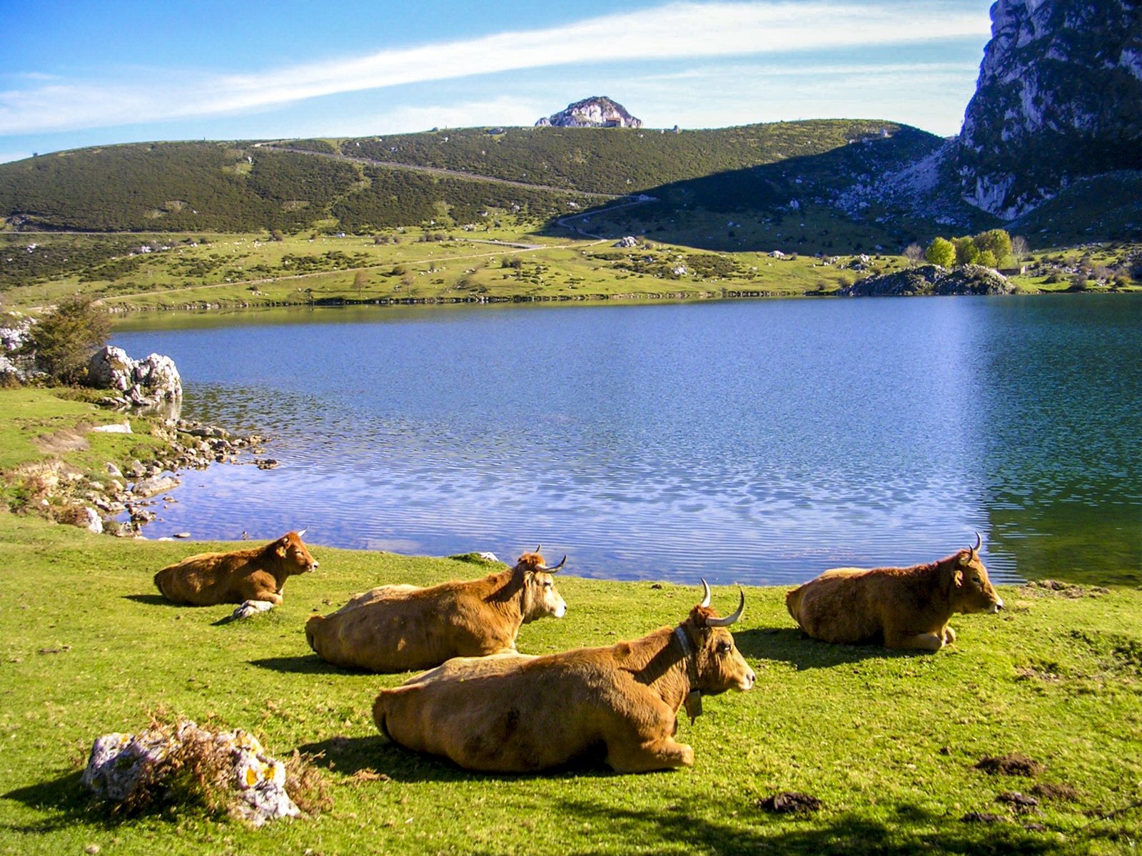 lagos de covadonga en los picos de europa