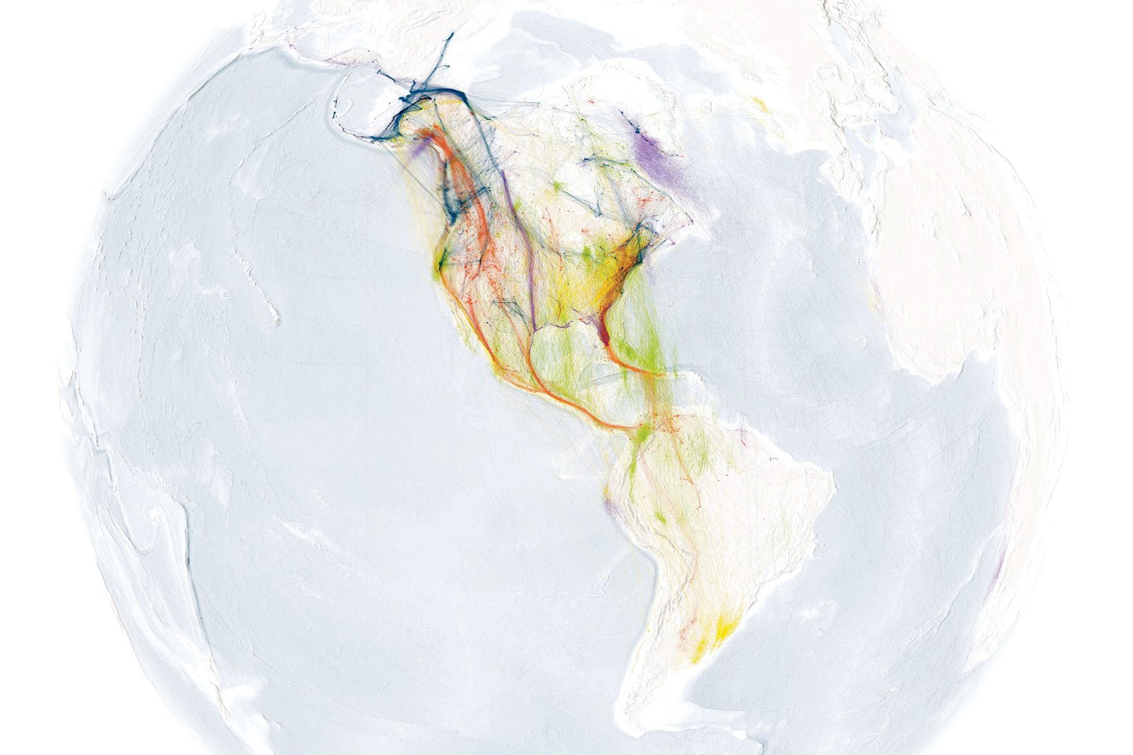 mapa de aves en ruta migratoria