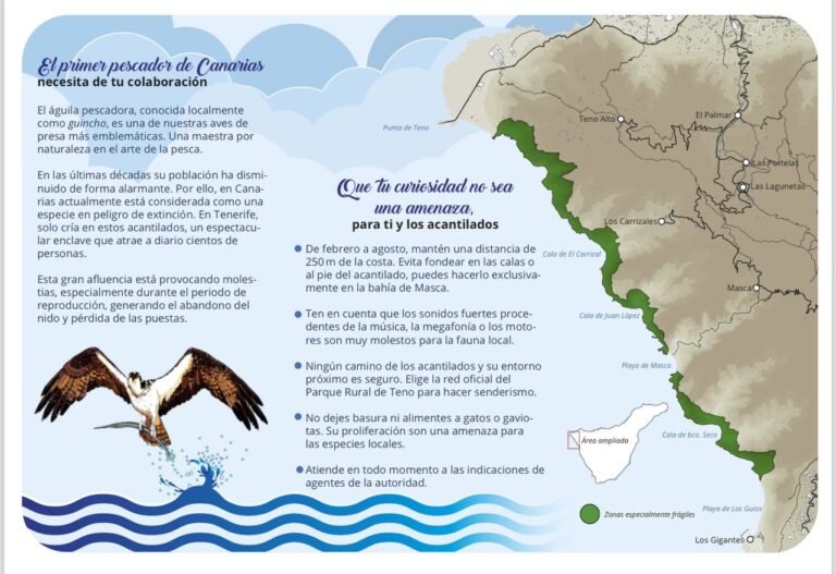 Dónde encontrar la Farmacia La Paz en El Palmar