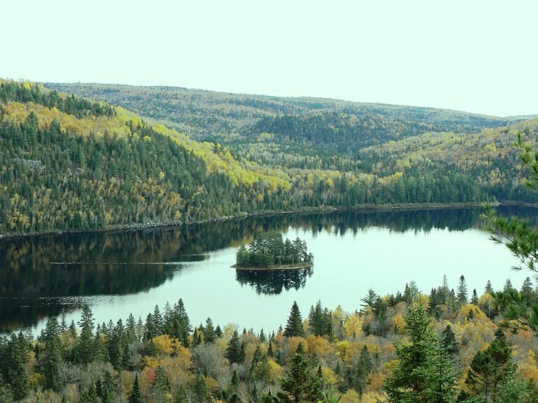 Qué actividades se pueden hacer en el Parque Nacional La Mauricie