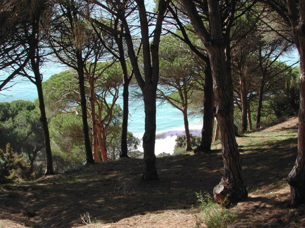 naturaleza en los canos de meca