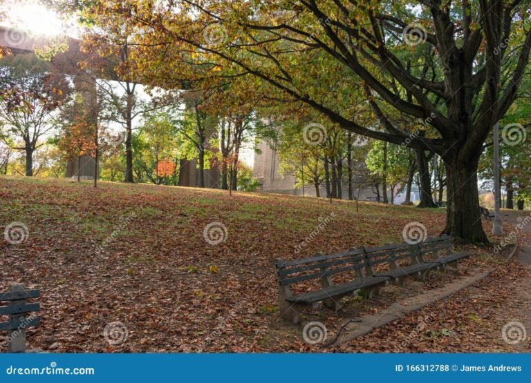 Cómo es el clima en Nueva York durante octubre