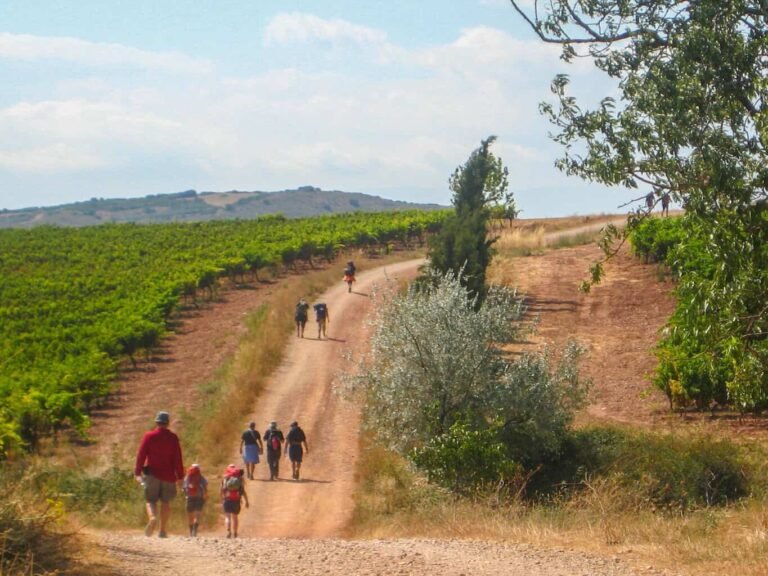 Cuáles son los horarios de La Estellesa entre Pamplona y Logroño