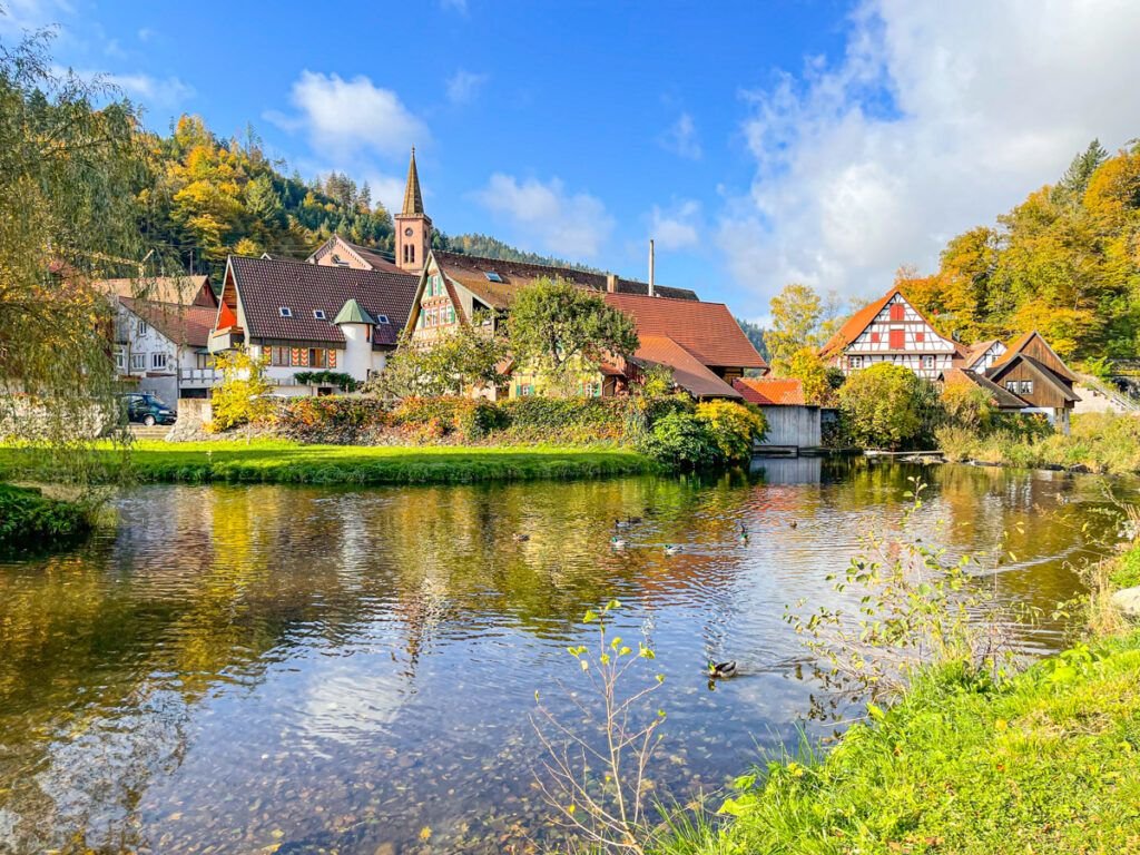 paisaje de la selva negra en coche