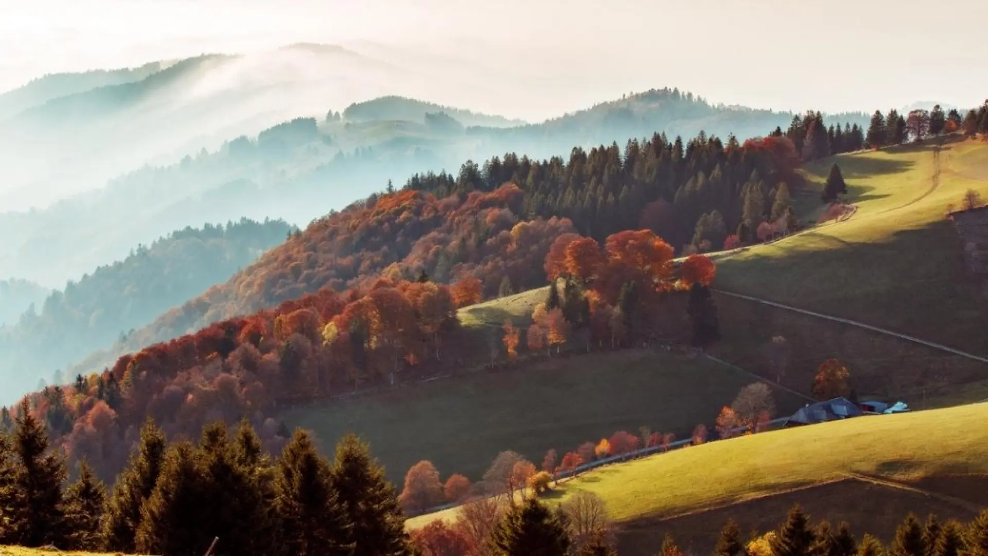paisaje de la selva negra en otono