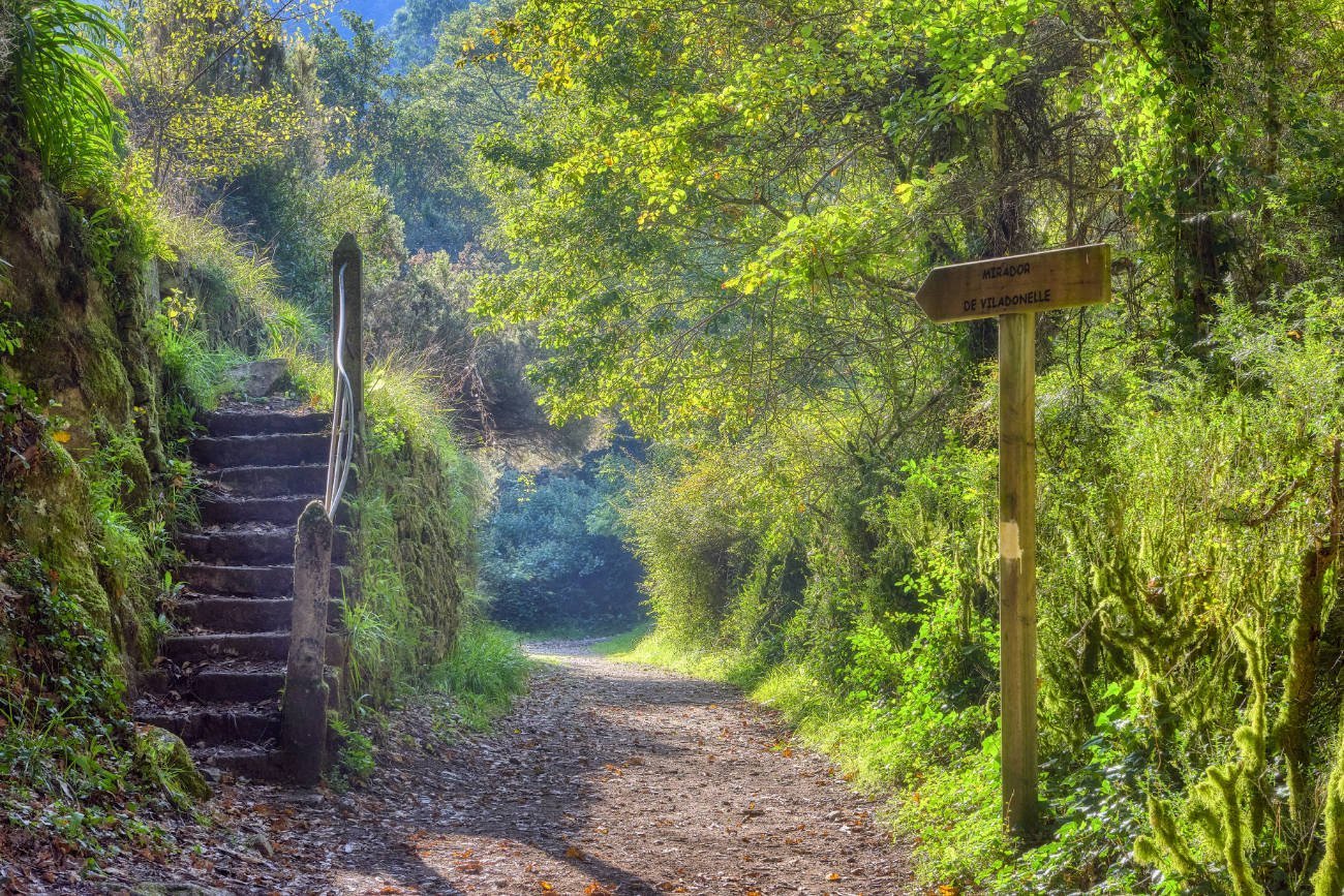 paisaje de neda con sendero del camino