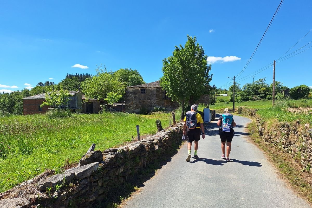 paisaje del camino de santiago en verano
