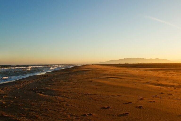 Dónde se encuentra el camping Eucaliptus en el Delta del Ebro