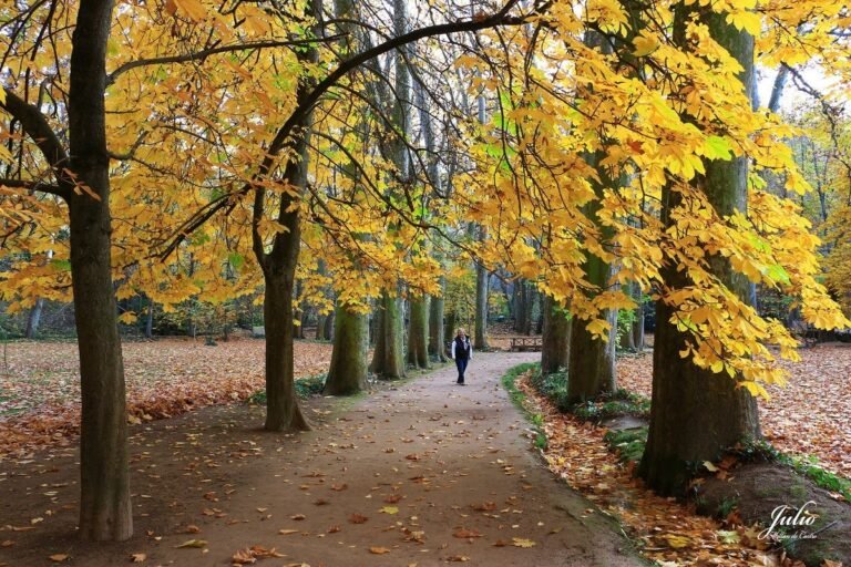 Dónde se encuentra el Monasterio de Piedra y qué visitar