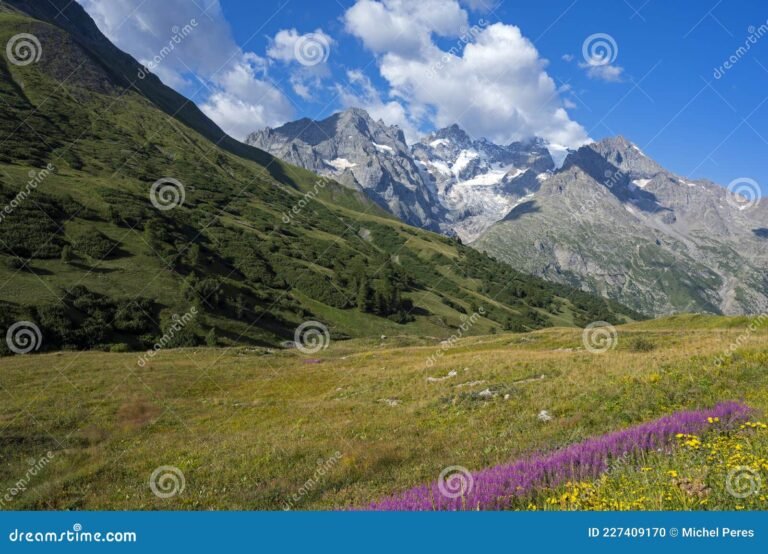 Cuáles son los mejores consejos para un viaje a los Alpes franceses