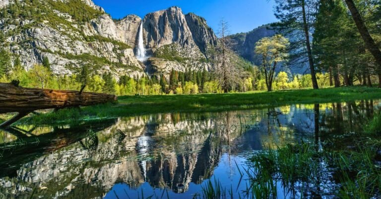 Dónde se encuentra Yosemite Bug Rustic Mountain Resort