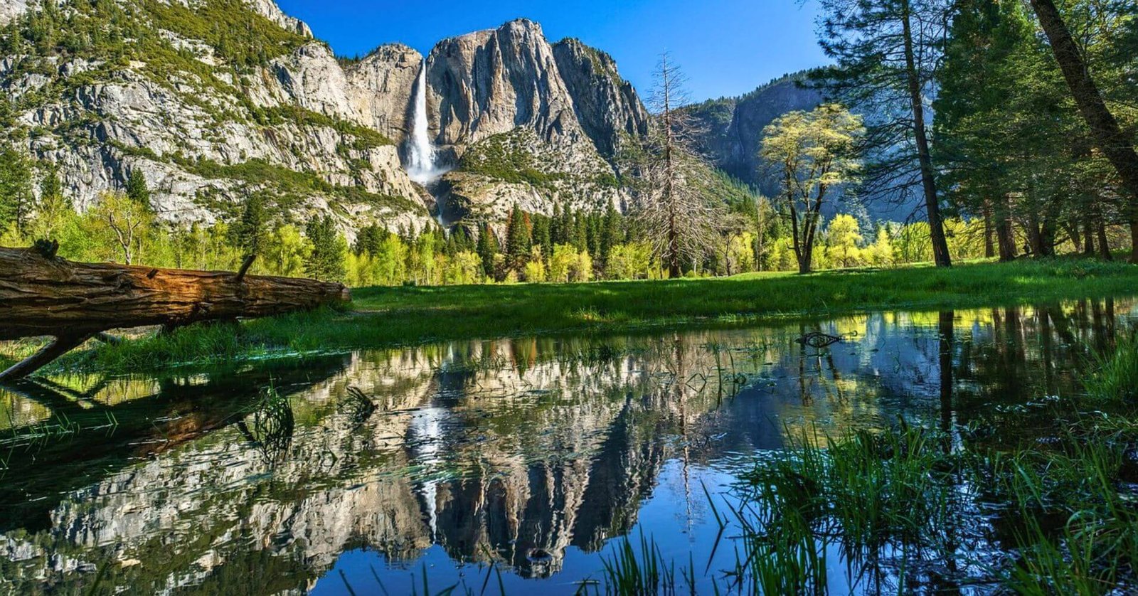 paisaje montanoso de yosemite national park