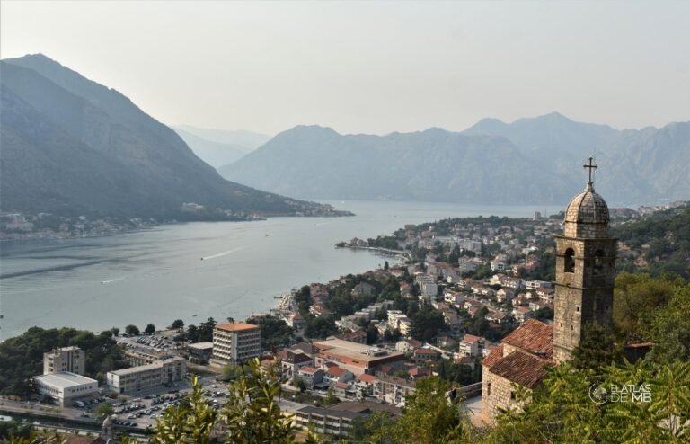 Qué dominio de internet es el adecuado para Montenegro