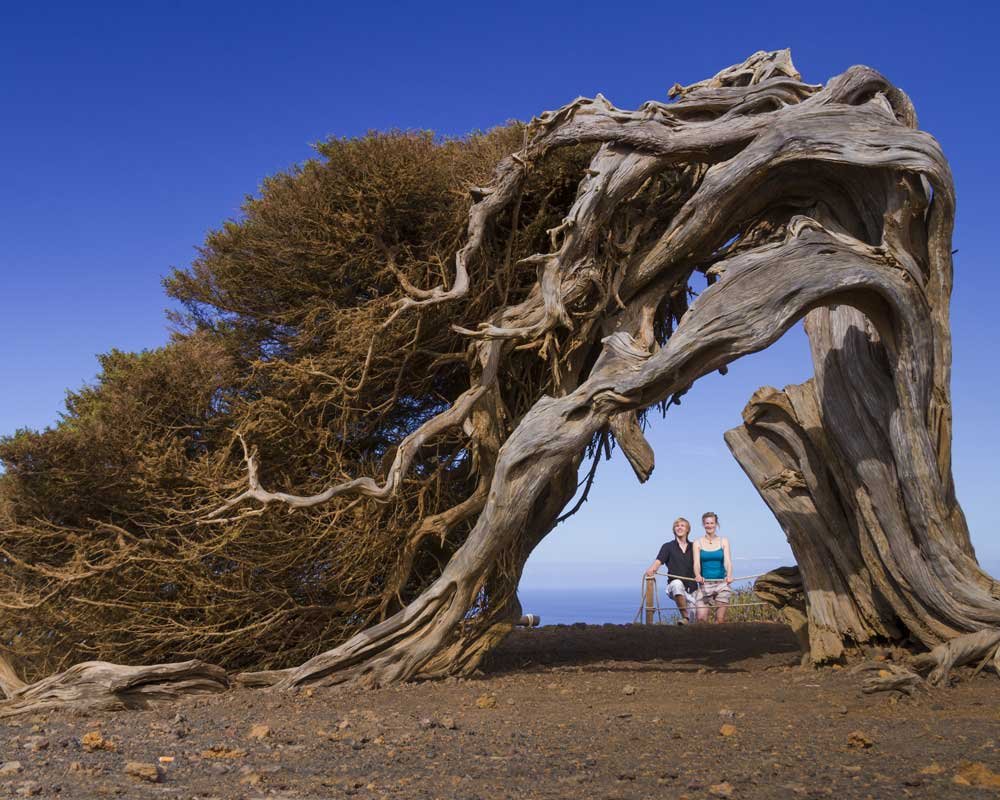 paisaje natural de el hierro