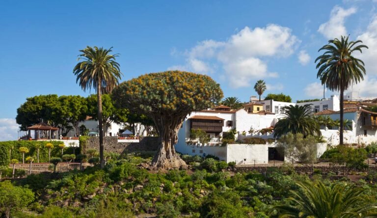 Qué lugares visitar en Icod de los Vinos: guía turística esencial