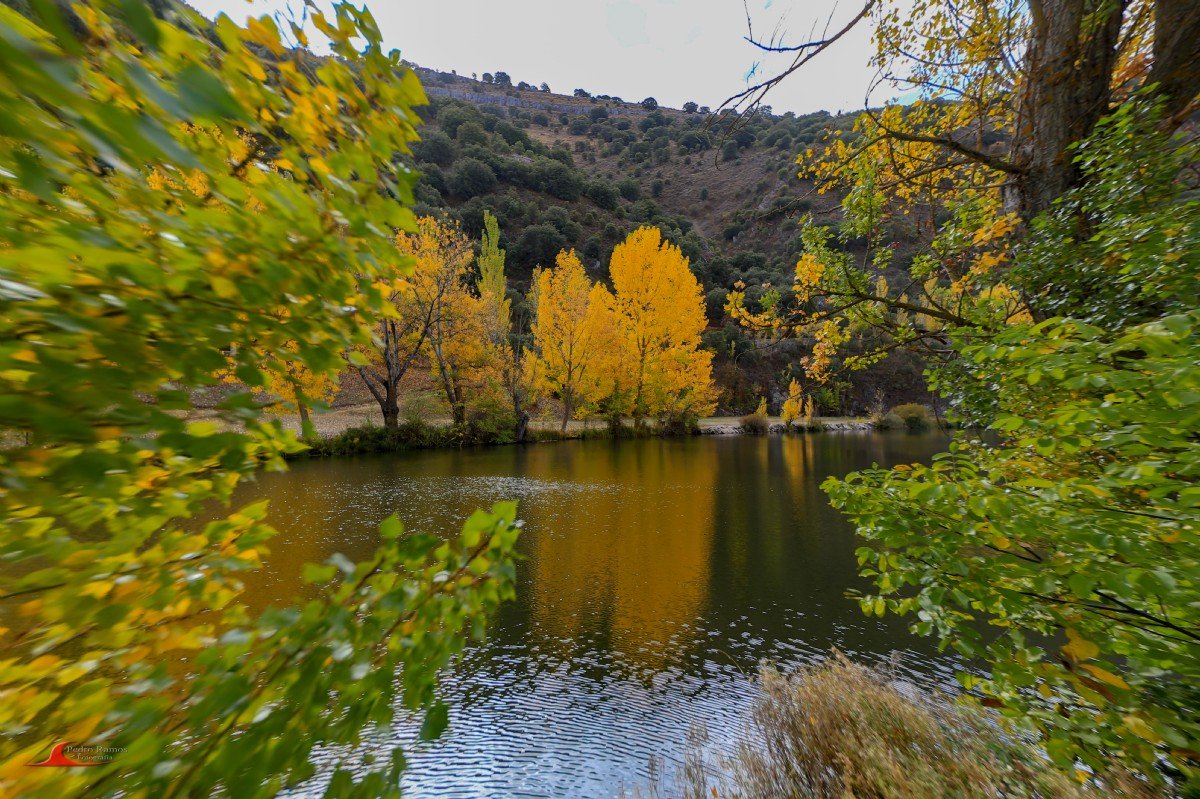 paisaje natural de soria en otono