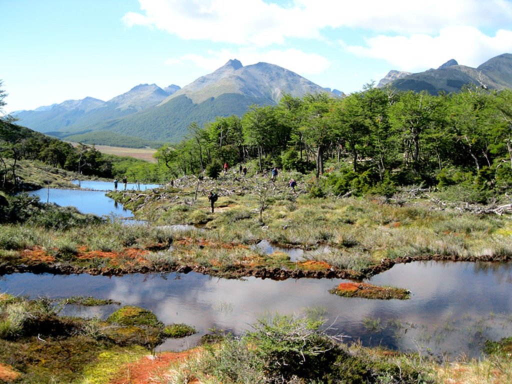 paisaje natural de tierra de fuego