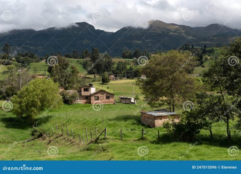 Dónde encontrar casas con finca baratas en Gijón y alrededores