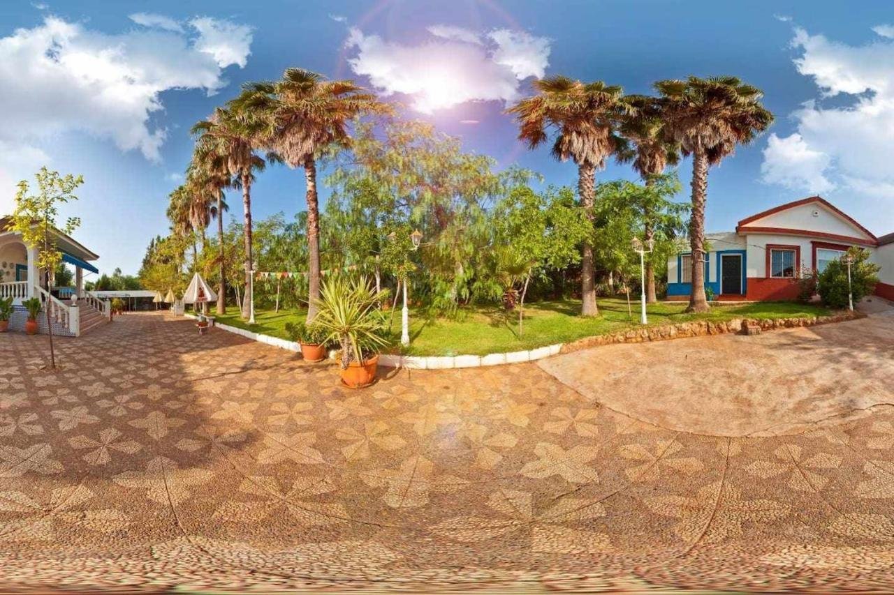 paisaje rural de la finca real niebla