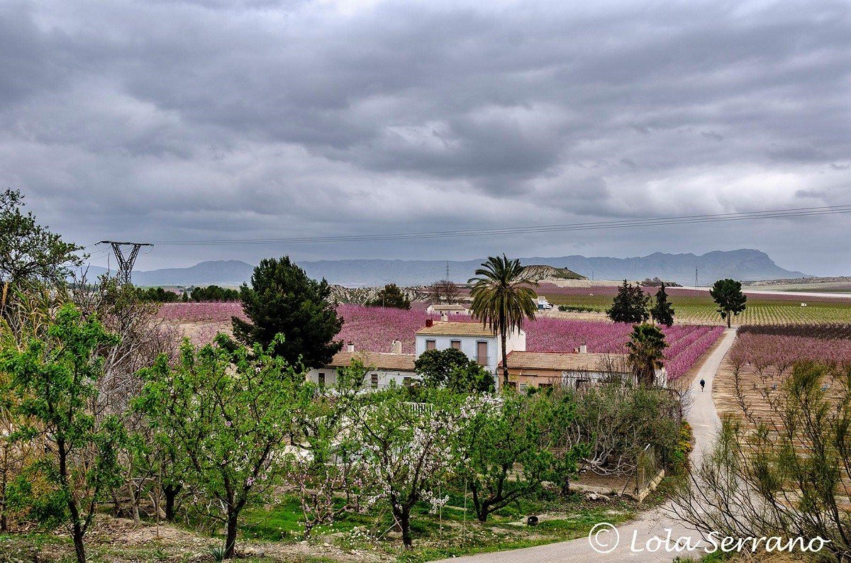 paisaje rural en cieza de leon