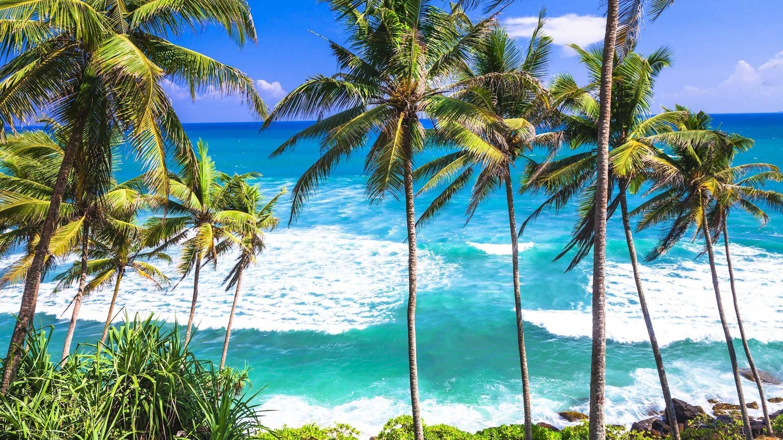 paisaje tropical de sri lanka en octubre