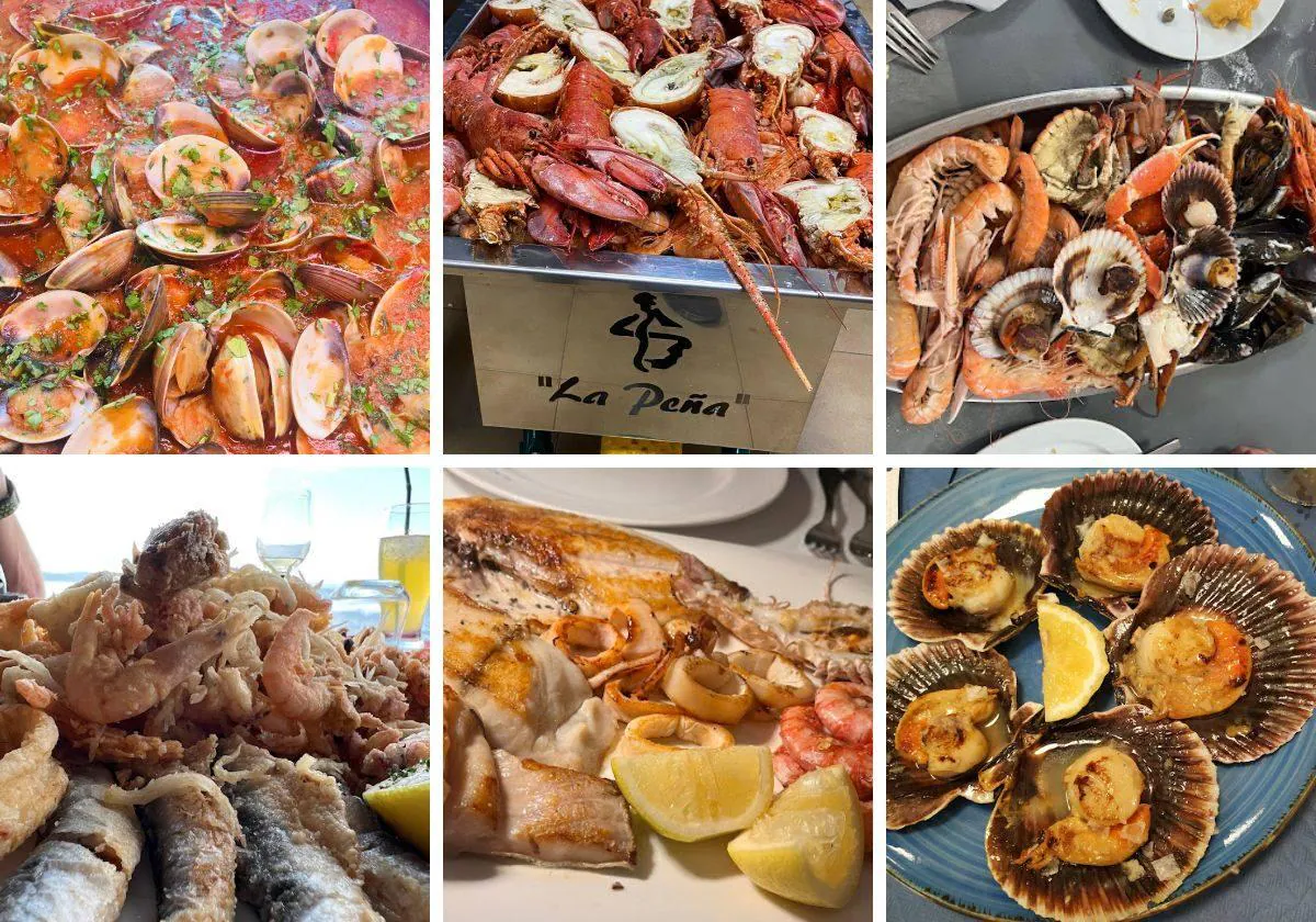 plato de mariscos frescos en restaurante