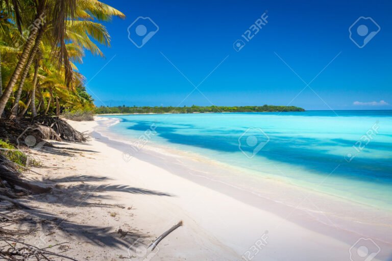 Dónde se encuentra el Punta Cana Princess en República Dominicana