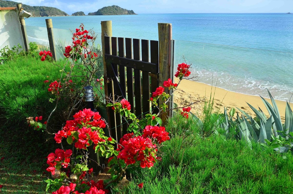 playa paradisiaca con casas de alquiler