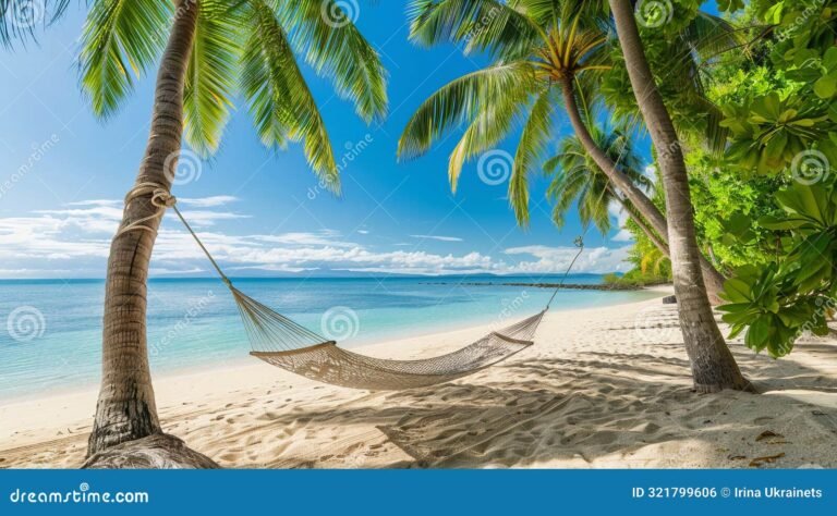 Qué servicios ofrece el Paradisus Punta Cana Resort