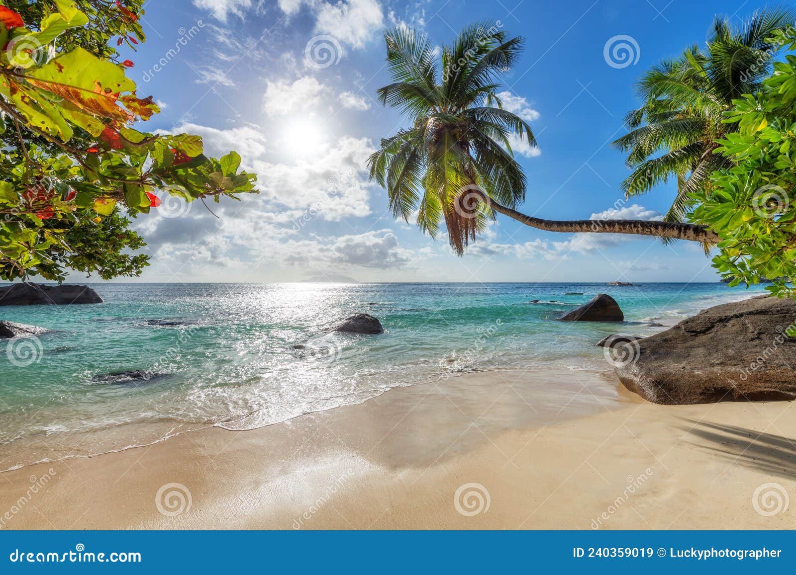 playa paradisiaca con palmeras y sol
