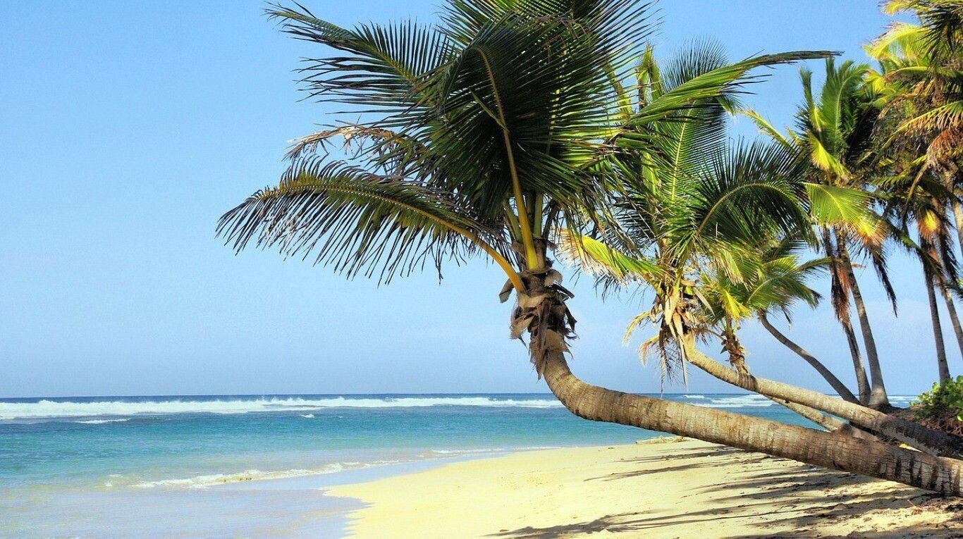 playa paradisiaca de cuba con palmeras