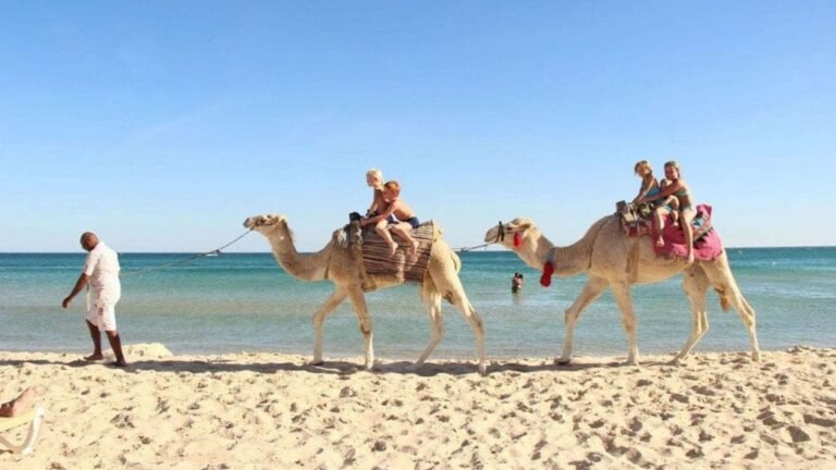 Dónde encontrar ofertas de viajes a Túnez todo incluido