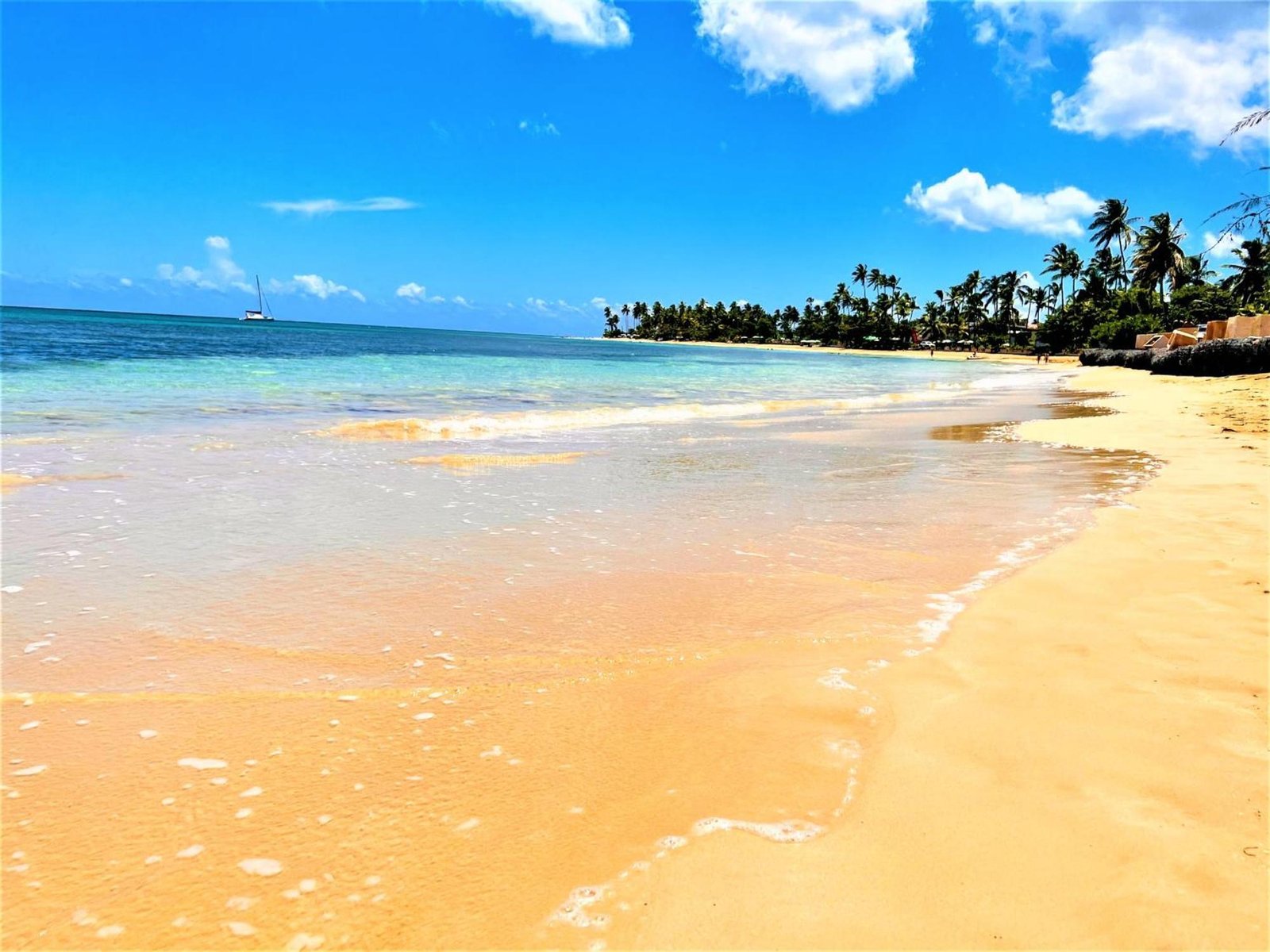 playa soleada en marina dor