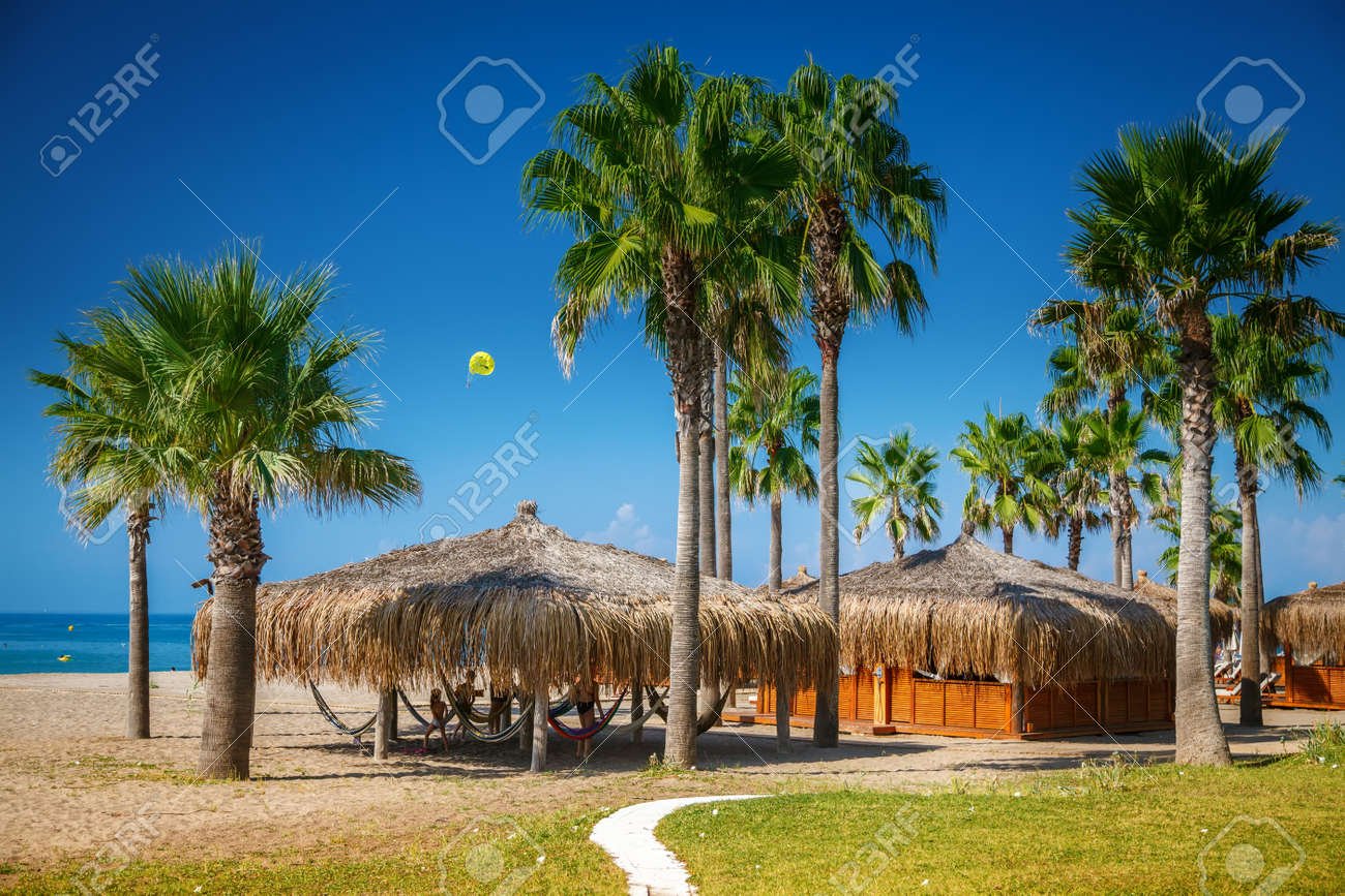 playa tropical con palmeras y resort
