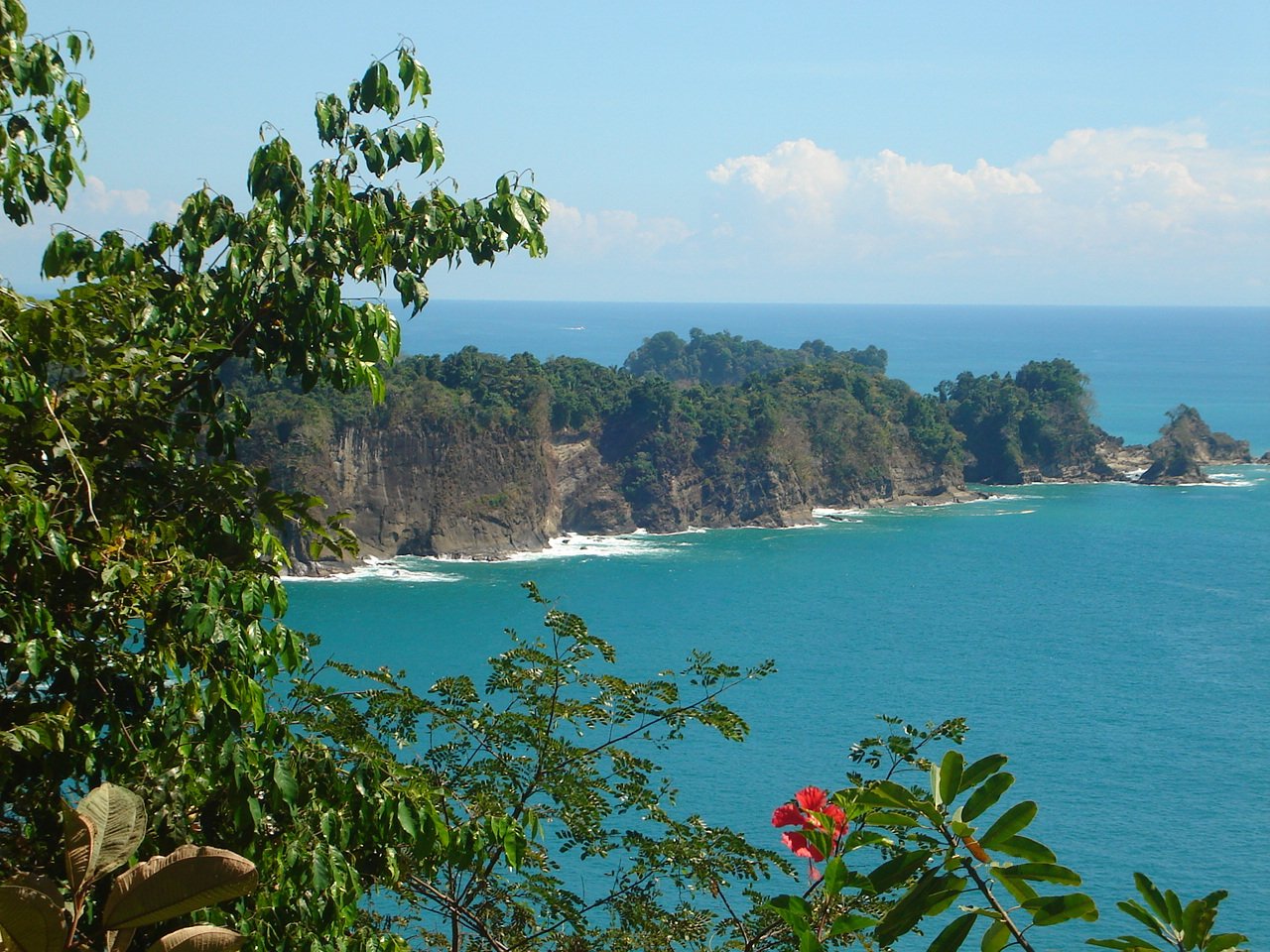 playa y naturaleza en parque nacional manuel antonio