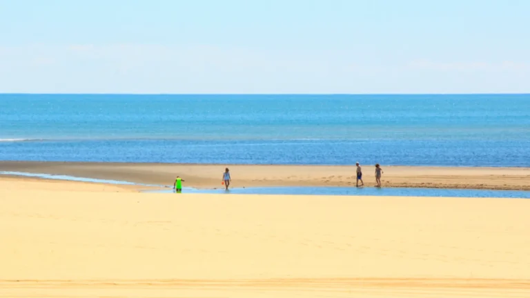 Qué lugares visitar en Isla Canela y sus alrededores