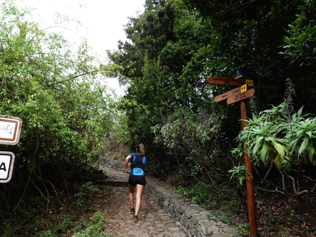ruta circular en los tilos la palma