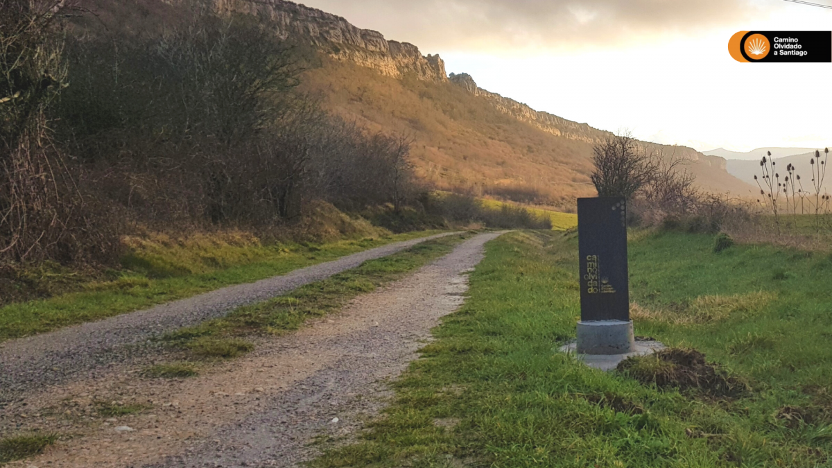 sendero del camino olvidado en naturaleza