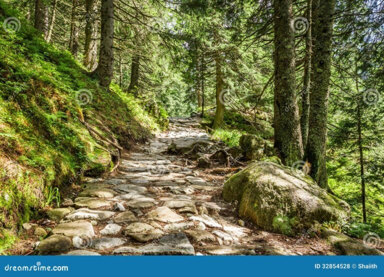 Dónde se encuentra el sendero El Saltillo en Canillas de Aceituno