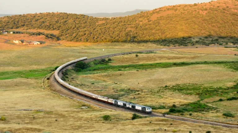 Cuáles son los horarios de trenes entre Palma del Río y Córdoba